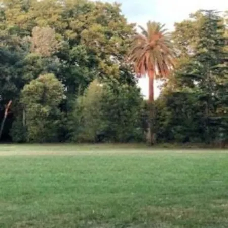 Climatise Avec Patio 아파트 *