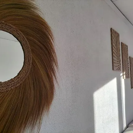 Climatise Avec Patio * Toulouges