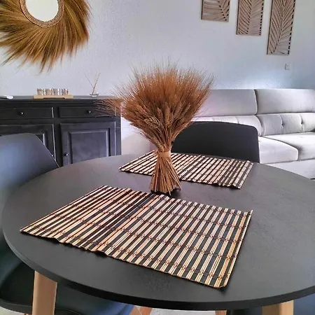 Climatise Avec Patio Apartment *