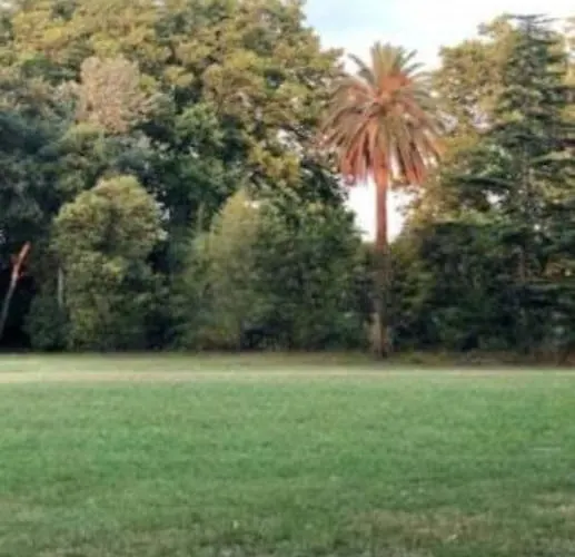 Climatise Avec Patio Appartement *