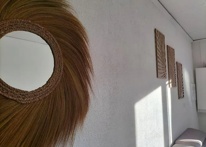 Climatise Avec Patio * Toulouges