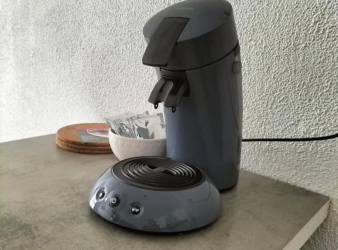 Climatise Avec Patio * Toulouges