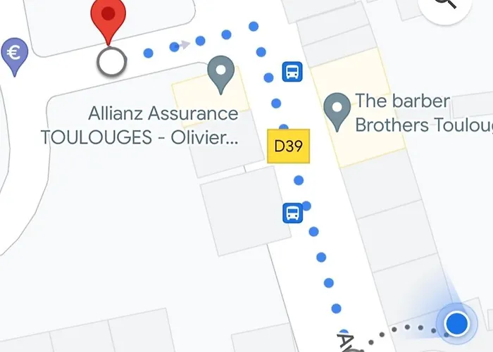 Climatise Avec Patio * Toulouges